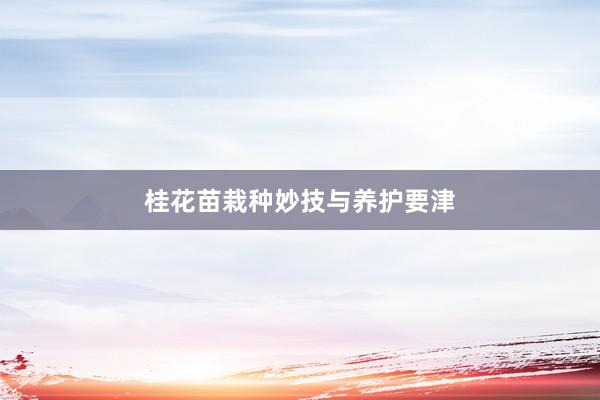 桂花苗栽种妙技与养护要津
