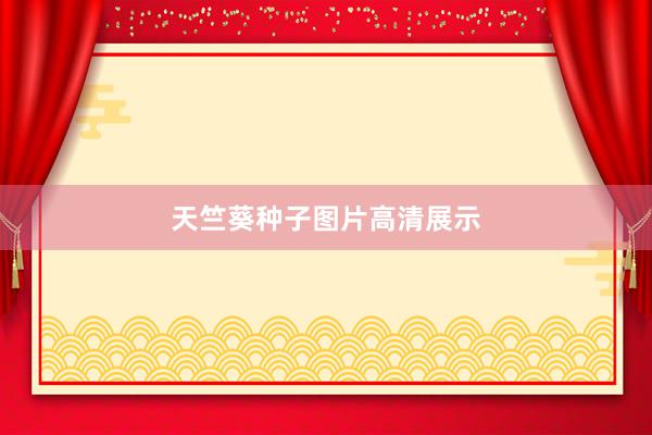 天竺葵种子图片高清展示