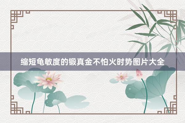 缩短龟敏度的锻真金不怕火时势图片大全